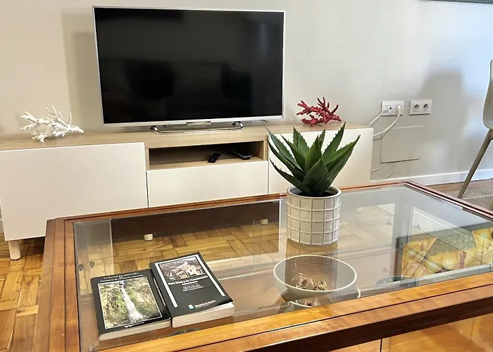 Apartamento Vetusta Nest *